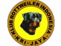 Pameran Anjing Rottweiler KRI Wilayah JAYA