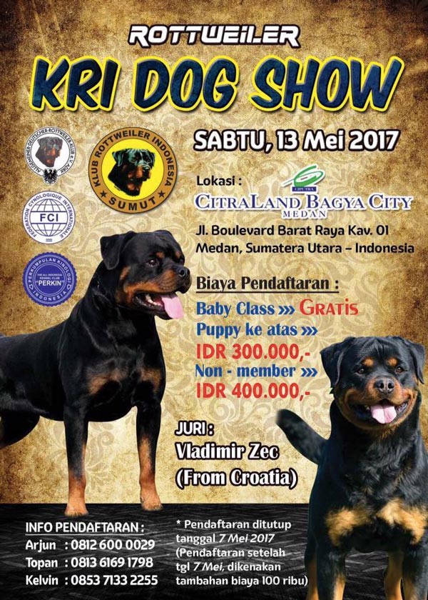 Pameran Anjing Rottweiler Medan 2017