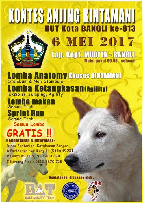 Kontes Anjing Kintamani Kota Bangli