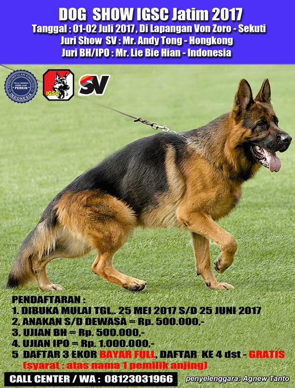 Pameran Anjing Herder IGSC Jawa Timur