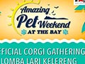 Corgi Lovers Gathering @Pluit
