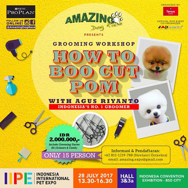 How to Boo Cut Pom @IIPE 2017