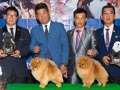 Little Crown Pom Borong Gelar Bali Dog Show 2017