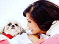 Anjing Menurut Soraya Haque