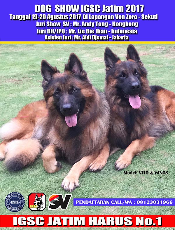 Pameran Anjing Herder IGSC Jatim