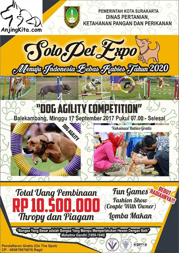 Solo Pet Expo 2017