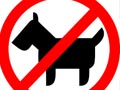 Syarat Pelihara Anjing Di Kota Bekasi
