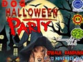 Bandung Dog Halloween Party 