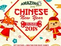 AMAZING Chinese New Year Edition 2018