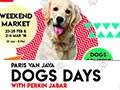 Bandung Celebrating Year of The Dog