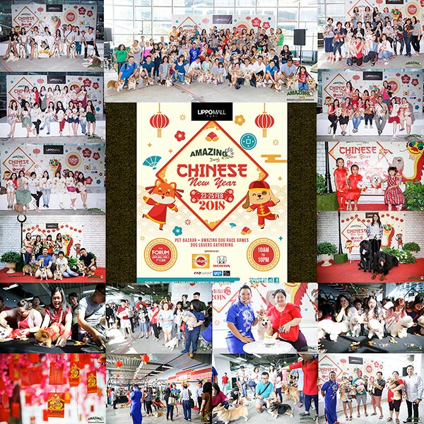 Foto & Video Liputan Amazing Chinese New Year 2018
