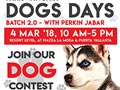 DOGS DAY Batch 2 is Back