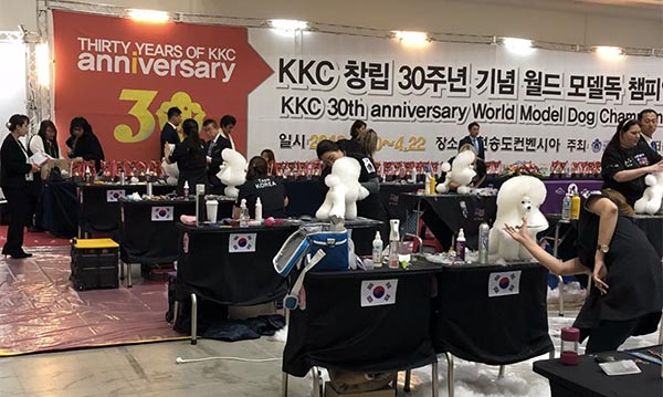 World Championship Model Dog Grooming Competitions