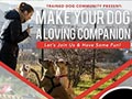 Make Your Dog A Loving Companion 