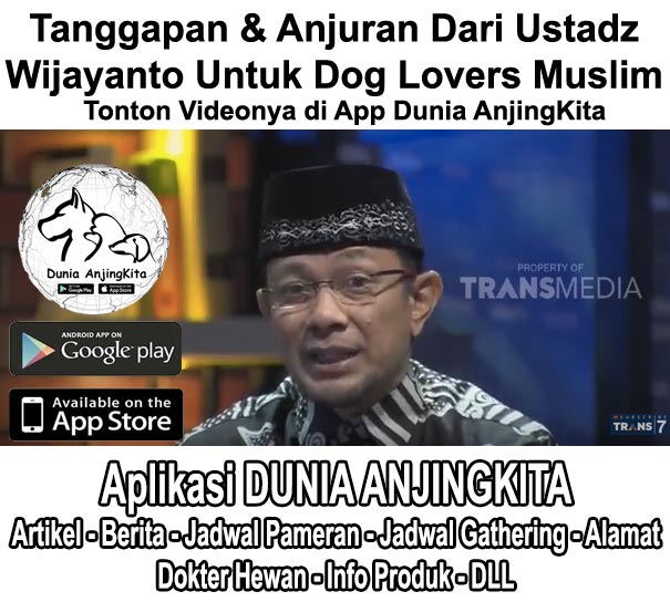 Tanggapan & Anjuran Untuk Dog Lovers Muslim 