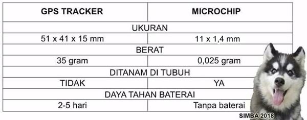 Microchip Bukan GPS Tracker