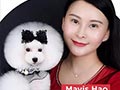 Belajar Tehnik Grooming Bersama Ratu Poodle China