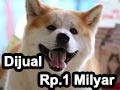 Selebdogram Ini Mau Dijual Rp.1 Milyar