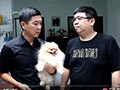 Joe Hauze Kennel Penghasil Anjing Pom Champion 8 Negara