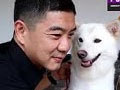 Mengenal Anjing Kintamani-Bali + Tips Perawatannya
