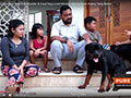 Cara Dog Lover Muslim Memelihara Anjing Yang Benar