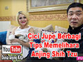 101 Anjing Shih Tzu Bersama Cici Jupe