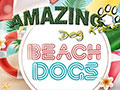 AMAZING Beach Dogs