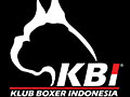 Klub Boxer Indonesia