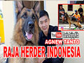 RAJA HERDER INDONESIA - AGNEW TANTO