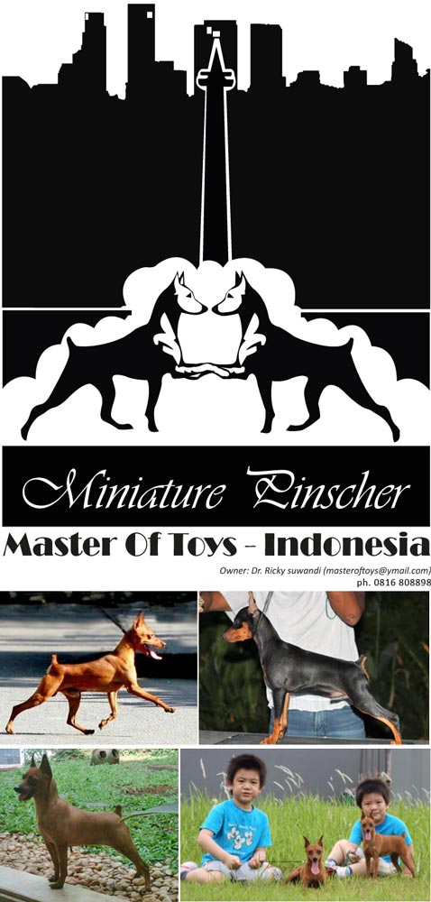 Master of Toys