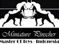 Master of Toys