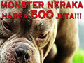 ANJING MONSTER NERAKA HARGA 500 JUTA