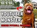YOUTUBER MONSTER - HEWIE SI ANJING PITBULL
