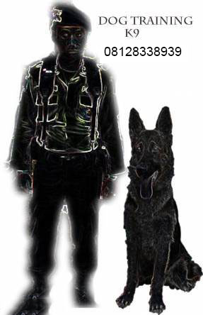 Dog Training K9