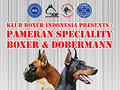 Pameran Speciality Boxer & Dobermann Jatim 2020