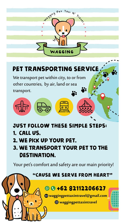 Wagging Pet Taxi & Travel