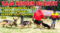 RAJA HERDER NGAMUK SOAL 3 TOPIK INI !!!