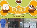 Teacup Petcare - PIK Jakarta