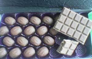 Keracunan Coklat Pada Anjing