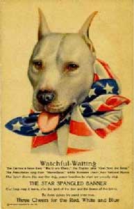 DEL COUR DE LEONE KENNEL (APBT)