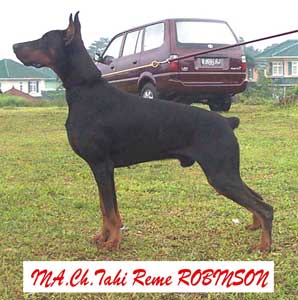 Ina.Ch.Tahi Reme Robinson