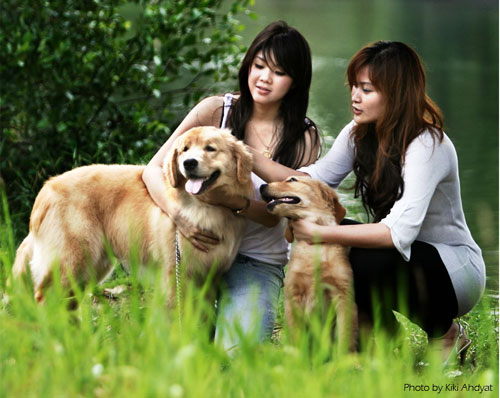 Ikatan Batin Antara Anjing Dengan Pemiliknya (Bonding)