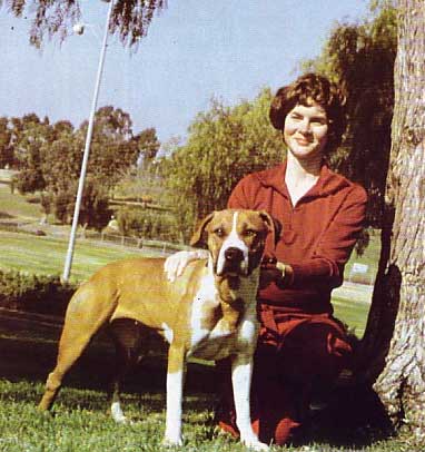 Pitbull : Sekilas Mengenai Old Type APBT