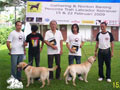 Liputan Valentine Bareng Labrador Retriever