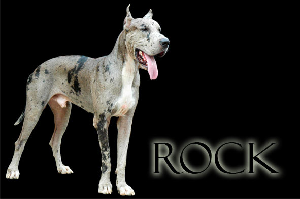 Rock n Roll von Apollo