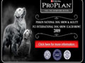Jadwal Penjurian PAMNAS & CACIB 2009