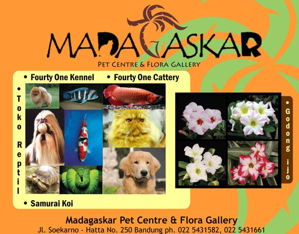 Madagaskar Pet Centre & Flora Gallery  
