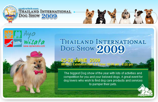 Nonton Thailand Internasional Dog Show Bersama Ayo Wisata !!!