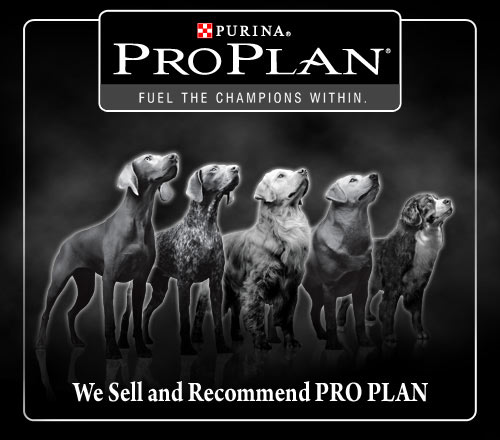 Daftar Outler PRO PLAN