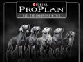 Daftar Outler PRO PLAN